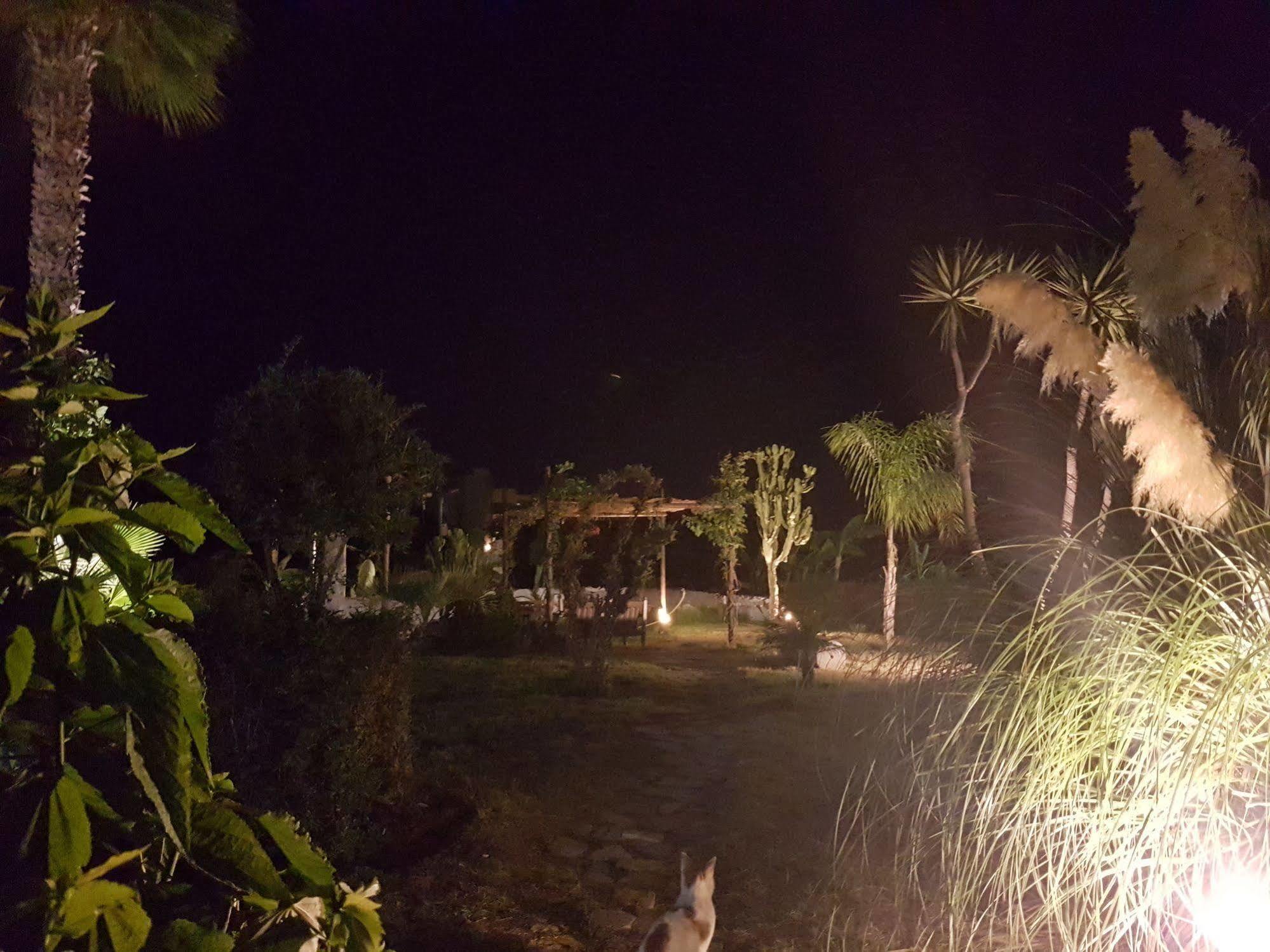 Eftihia Apartments Kos Exteriör bild