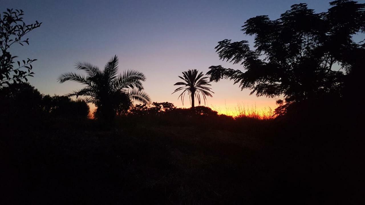 Eftihia Apartments Kos Exteriör bild
